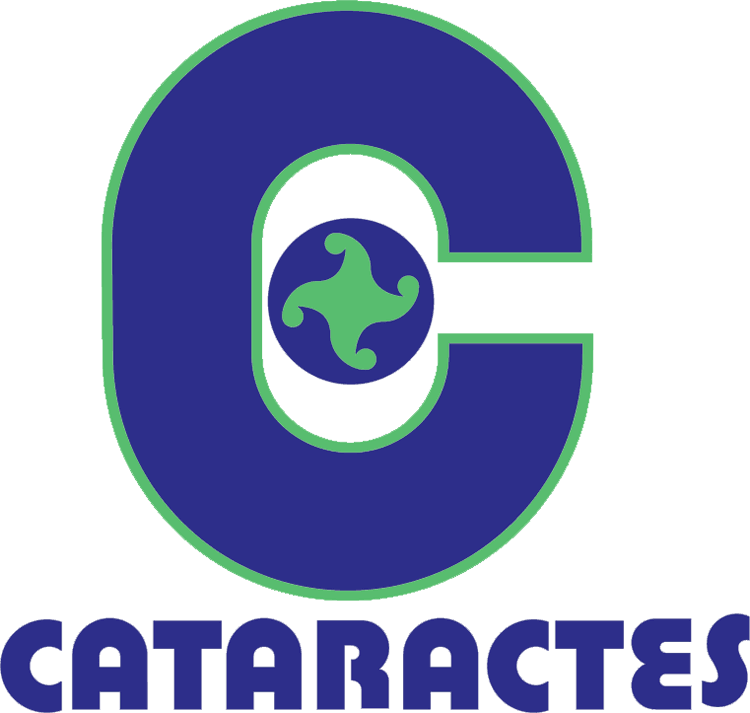 shawinigan cataractes 1978-1990 primary logo iron on heat transfer